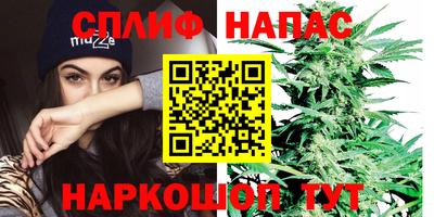 амфетамин Гай