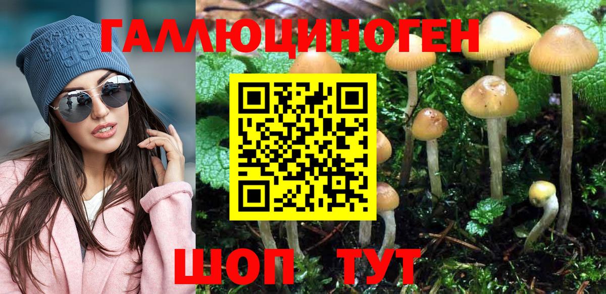 Балаково  Псилоцибиновые грибы Cubensis  Вход с VPN 